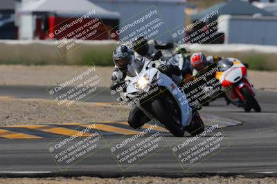 media/Mar-12-2023-SoCal Trackdays (Sun) [[d4c8249724]]/Turn 2 (1130am)/